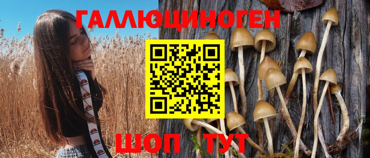 Псилоцибиновые грибы прущие грибы  Вход с VPN  Электросталь 