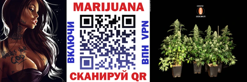 Купить закладки  Электросталь  Шишки марихуана Ganja 